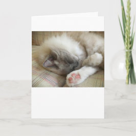 Días lentos, tarjeta