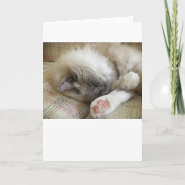 Días lentos, tarjeta (Anverso)