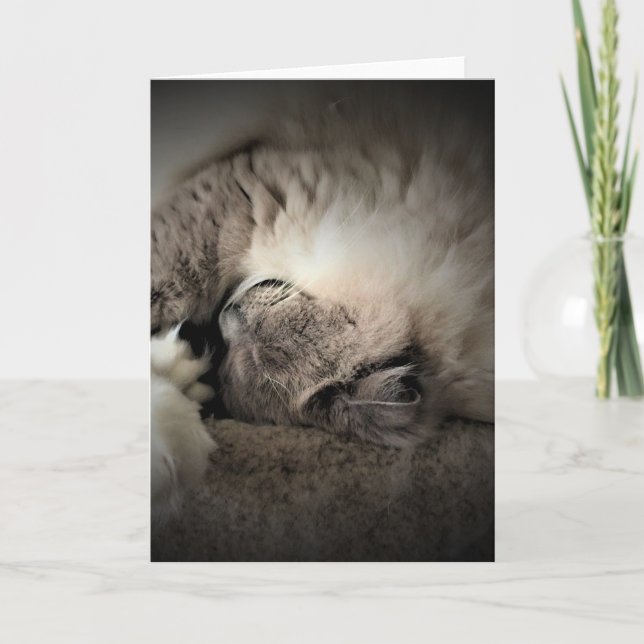 Días lentos, tarjeta (Anverso)