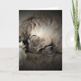 Días lentos, tarjeta