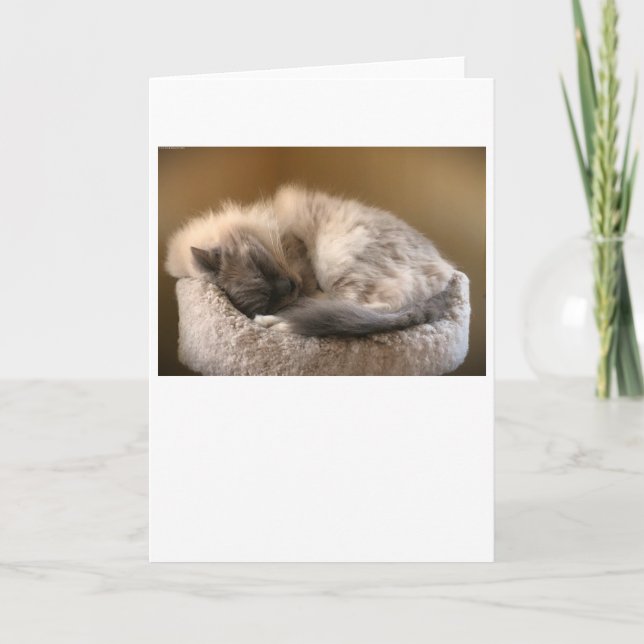 Días lentos, tarjeta (Anverso)