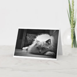 Días lentos, tarjeta