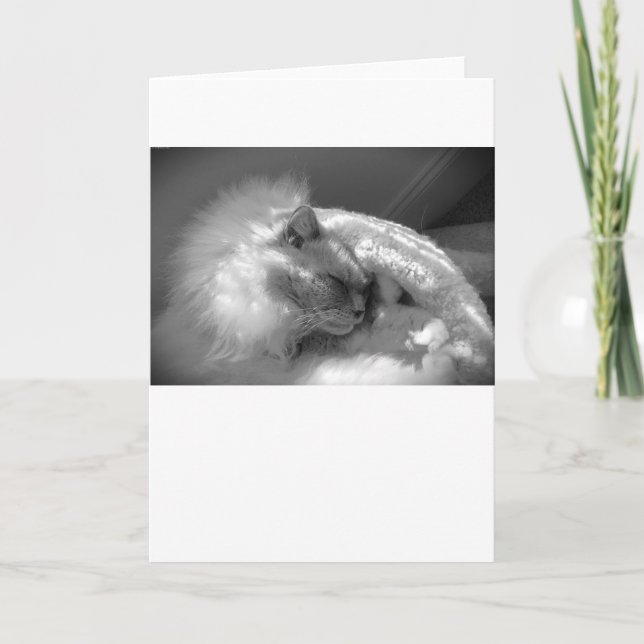 Días lentos, tarjeta (Anverso)