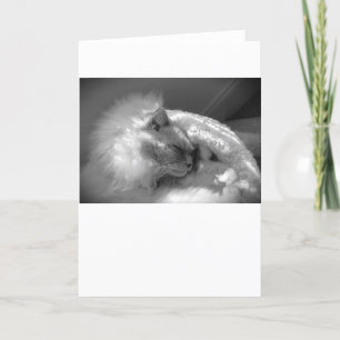 Días lentos, tarjeta