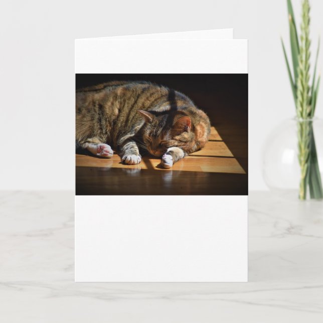 Días lentos, tarjeta (Anverso)