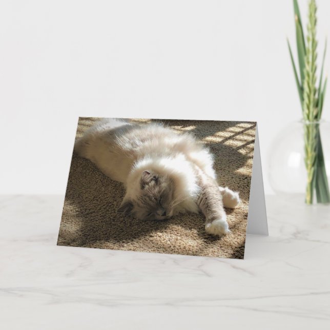 Días lentos, tarjeta (Anverso)