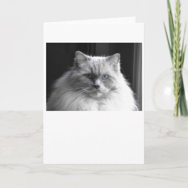 Días lentos, tarjeta (Anverso)