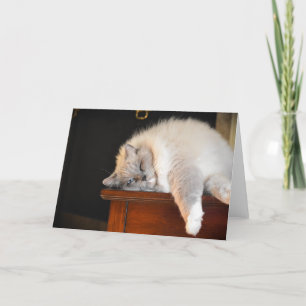 Días lentos, tarjeta