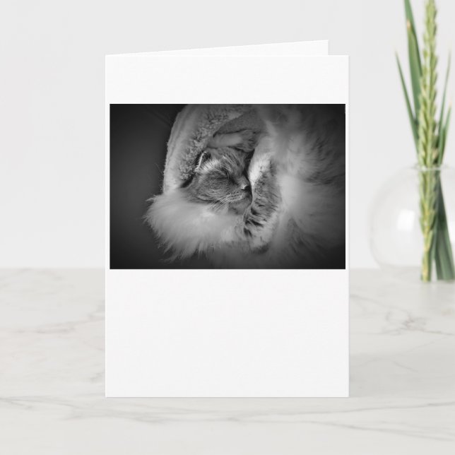 Días lentos, tarjeta (Anverso)