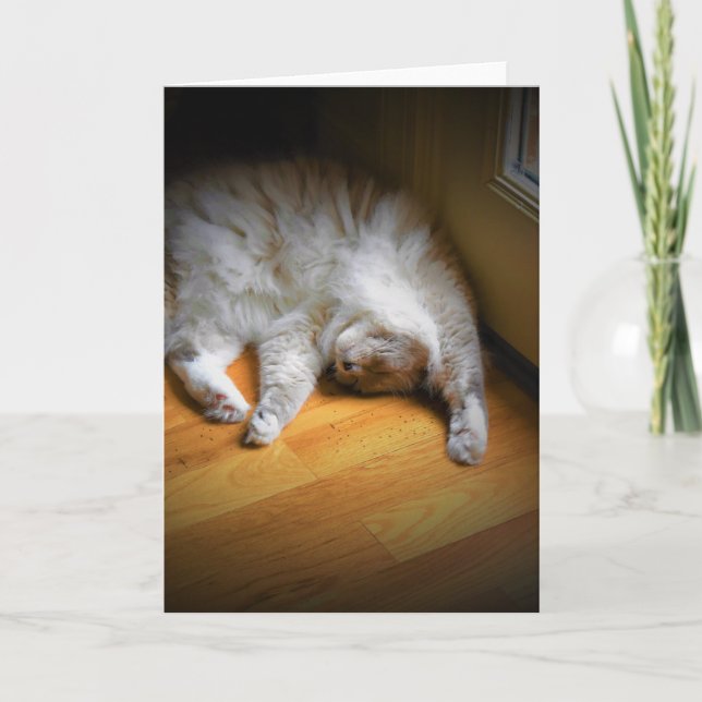 Días lentos, tarjeta (Anverso)