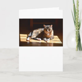 Días lentos, tarjeta