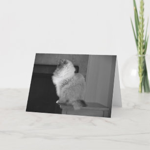 Días lentos, tarjeta