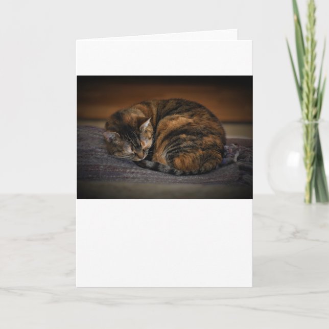 Días lentos, tarjeta (Anverso)