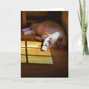 Días lentos, tarjeta