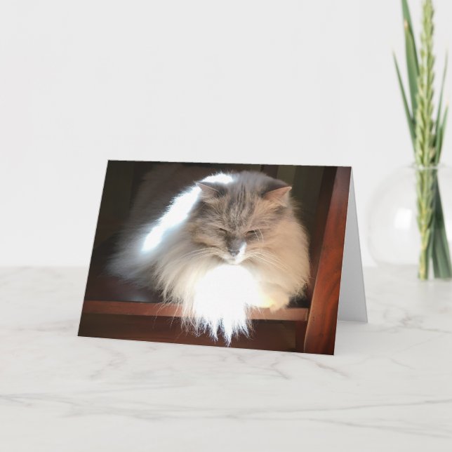 Días lentos, tarjeta (Anverso)