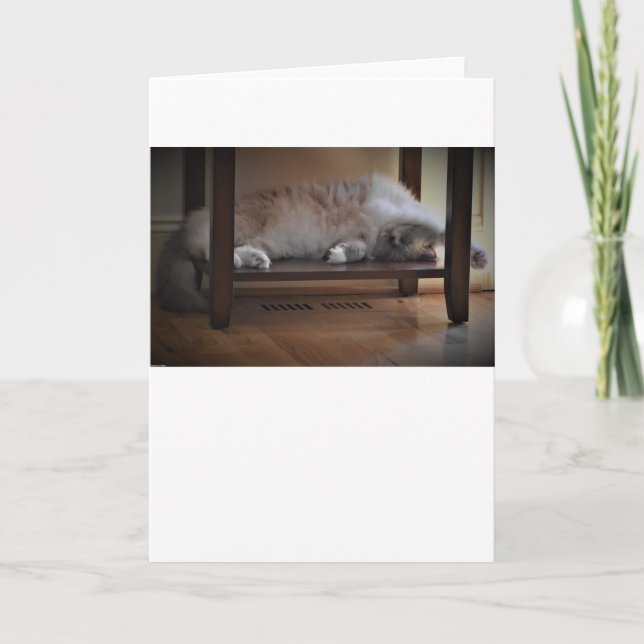 Días lentos, tarjeta (Anverso)