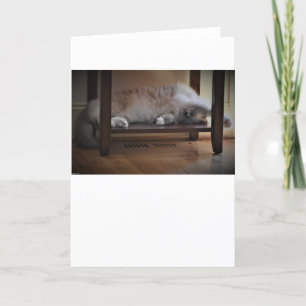 Días lentos, tarjeta