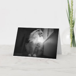 Días lentos, tarjeta