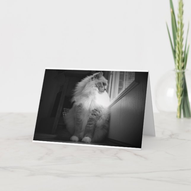 Días lentos, tarjeta (Anverso)