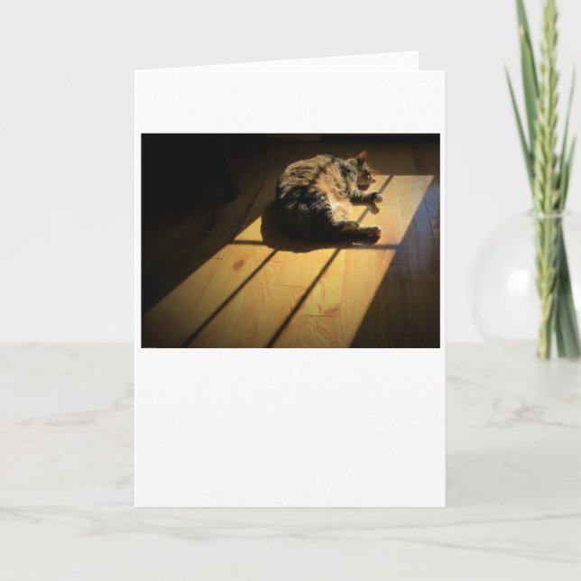 Días lentos, tarjeta (Anverso)