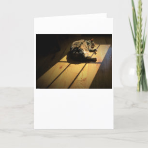 Días lentos, tarjeta