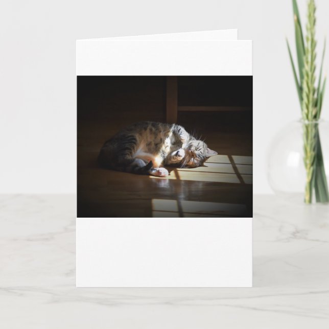 Días lentos, tarjeta (Anverso)