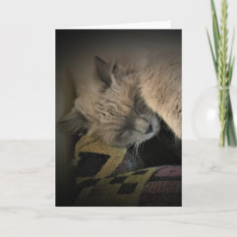 Días lentos, tarjeta