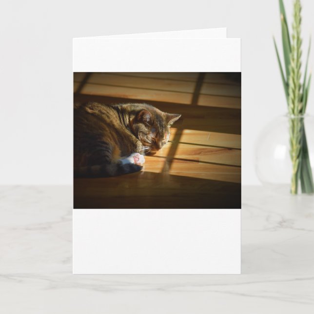 Días lentos, tarjeta (Anverso)