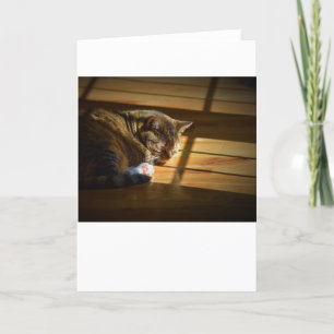 Días lentos, tarjeta