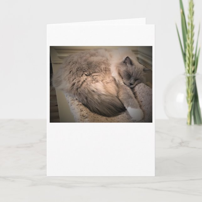 Días lentos, tarjeta (Anverso)