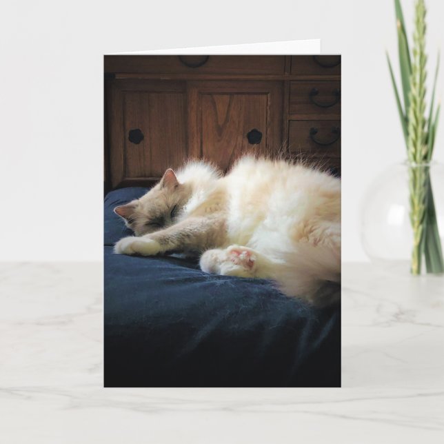 Días lentos, tarjeta (Anverso)