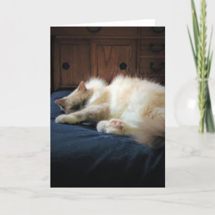 Días lentos, tarjeta