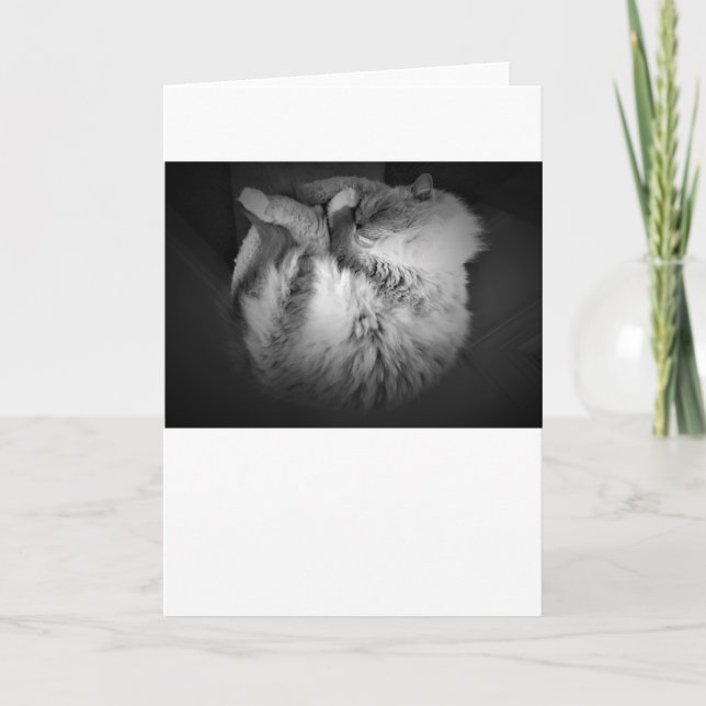 Días lentos, tarjeta (Anverso)