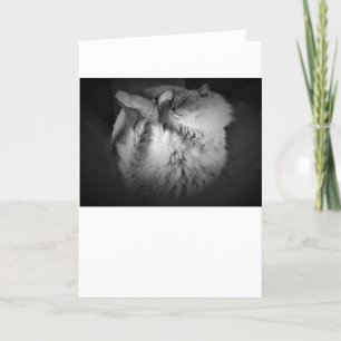 Días lentos, tarjeta