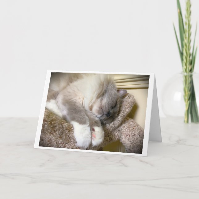 Días lentos, tarjeta (Anverso)