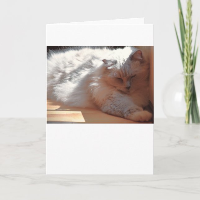 Días lentos, tarjeta (Anverso)