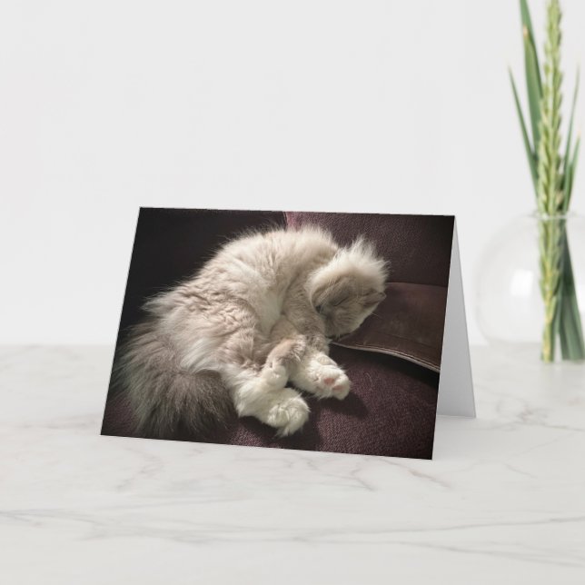 Días lentos, tarjeta (Anverso)