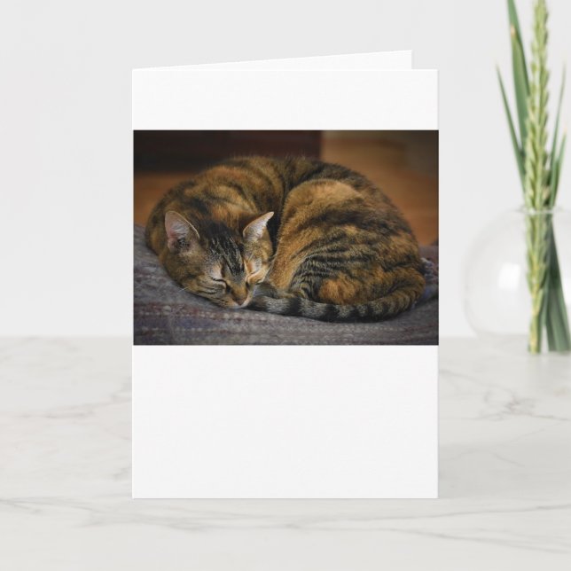 Días lentos, tarjeta (Anverso)