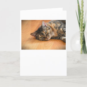 Días lentos, tarjeta