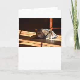 Días lentos, tarjeta