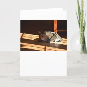 Días lentos, tarjeta