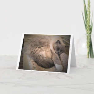 Días lentos, tarjeta