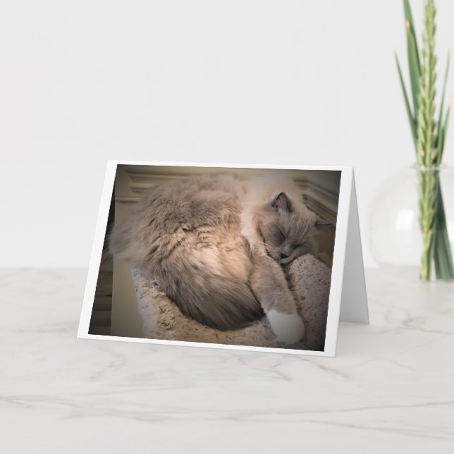 Días lentos, tarjeta (Anverso)