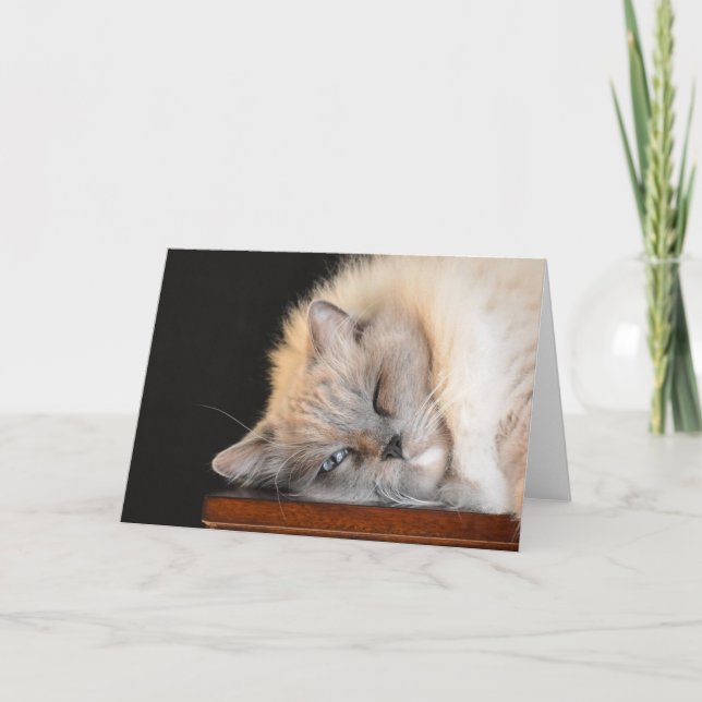 Días lentos, tarjeta (Anverso)