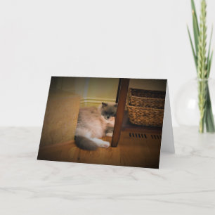 Días lentos, tarjeta