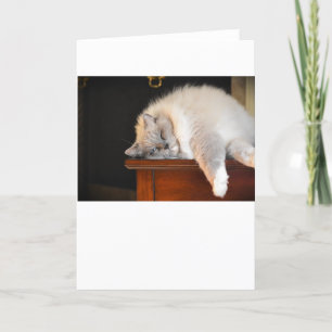 Días lentos, tarjeta