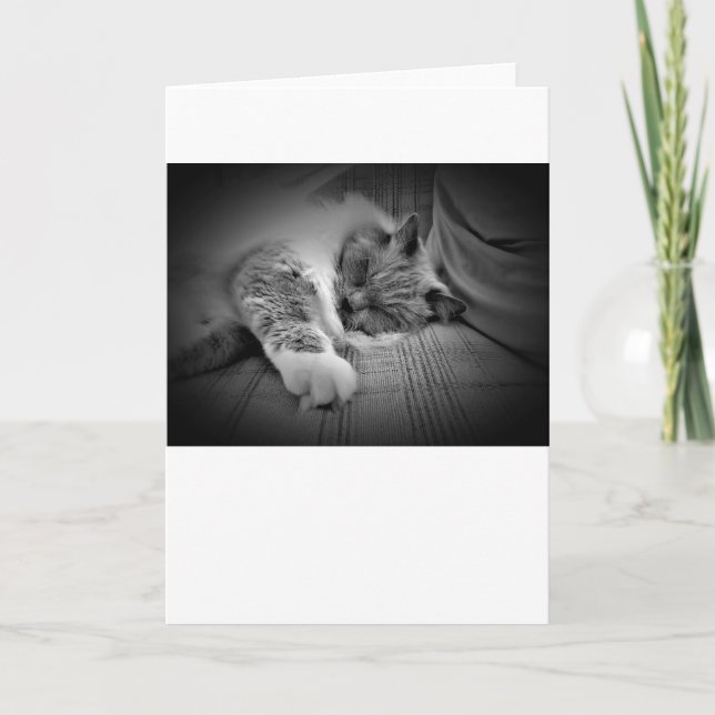 Días lentos, tarjeta (Anverso)