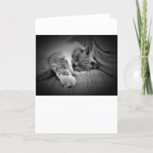 Días lentos, tarjeta