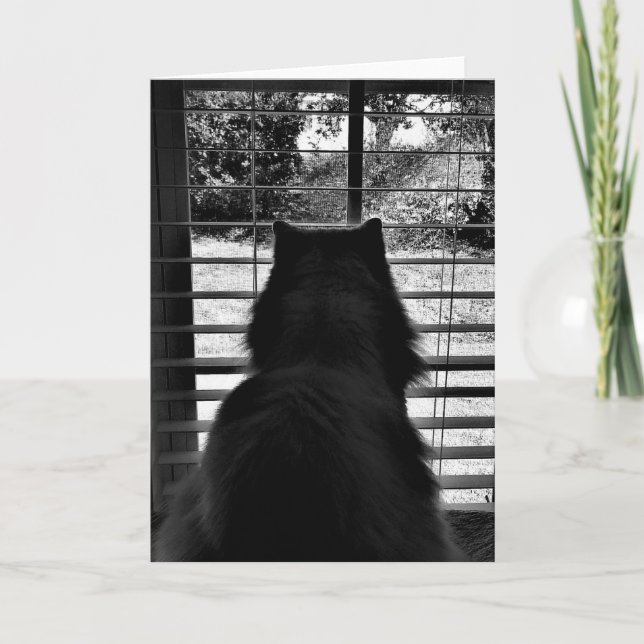 Días lentos, tarjeta (Anverso)