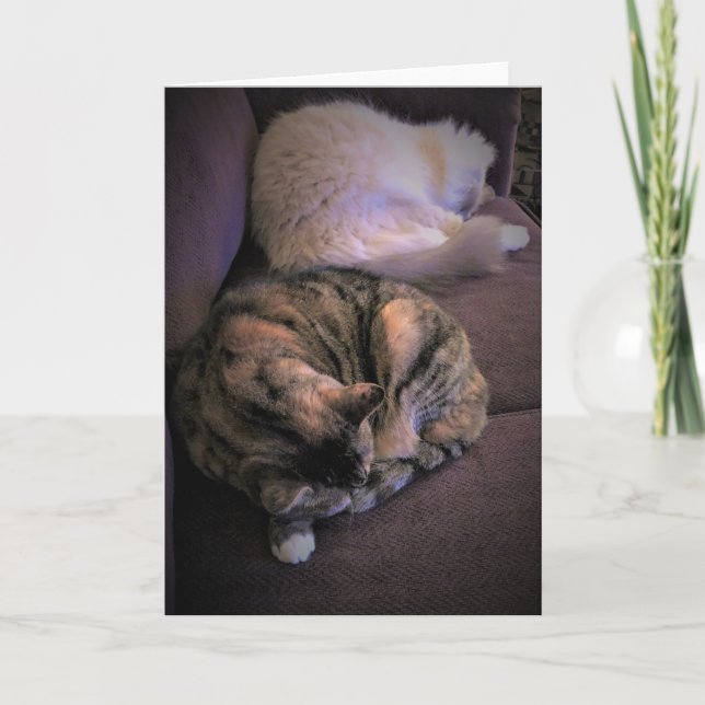 Días lentos, tarjeta (Anverso)